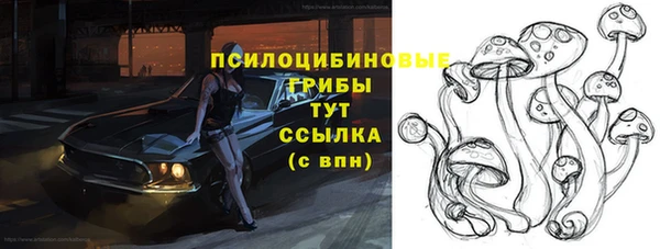 гашишное масло Дмитровск