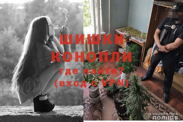 Альфа ПВП Дмитриев