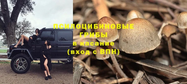 Альфа ПВП Дмитриев