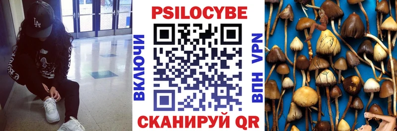 Купить закладки  Карабаш  Галлюциногенные грибы прущие грибы 